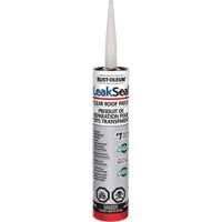 LeakSeal&reg; Clear Roof Patch Canadian Safety Group Inc.