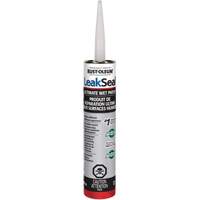 LeakSeal&reg; Ultimate Wet Roof Patch Canadian Safety Group Inc.