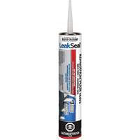 LeakSeal&reg; Wet/Dry Roof Repair Canadian Safety Group Inc.