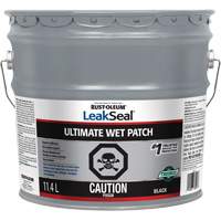LeakSeal&reg; Ultimate Wet Roof Patch Canadian Safety Group Inc.
