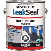 LeakSeal&reg; Wet/Dry Roof Repair Canadian Safety Group Inc.