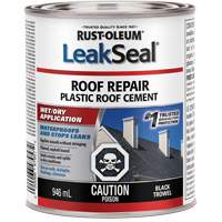 LeakSeal&reg; Wet/Dry Roof Repair Canadian Safety Group Inc.