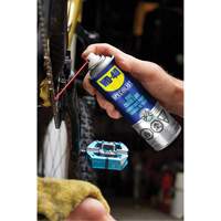 Bike Chain Lubricant, Aerosol Can Canadian Safety Group Inc.