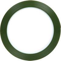 Polyester Tape, Polyester, 25.4 mm (1") W x 66 m (216') L, 1.9 mils Thick Canadian Safety Group Inc.