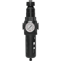Modulair 400 Filter/Regulator with Manual Drain, 3/4" NPT, 200 psi, 9.1 fl. oz. Capacity Canadian Safety Group Inc.