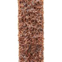 Courroies de traitement des surfaces Scotch-Brite Canadian Safety Group Inc.