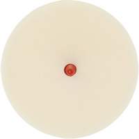 Scotch-Brite Moulding Adhesive & Stripe Removal Disc, 7501, 4" Dia. Canadian Safety Group Inc.