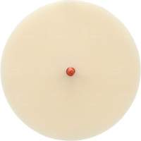 Scotch-Brite Moulding Adhesive and Stripe Removal Disc 7502, 6" Dia. Canadian Safety Group Inc.