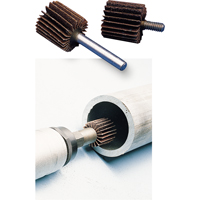 General Purpose Flap Wheel, Aluminum Oxide, 60 Grit, 2" x 1" x 1/4" Canadian Safety Group Inc.