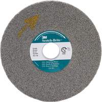 Meule d'&eacute;barbage EXL Scotch-Brite, 8" x 1", Arbre de 3" Canadian Safety Group Inc.