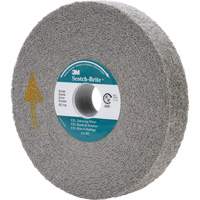 Meule d'&eacute;barbage EXL Scotch-Brite, 6" x 1", Arbre de 1" Canadian Safety Group Inc.