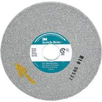 Meule d'&eacute;barbage EXL Scotch-Brite, 6" x 1/2", Arbre de 1", Carbure de silicium Canadian Safety Group Inc.