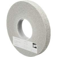 Meules d'&eacute;barbage EXL Scotch-Brite, 8" x 1", Arbre de 3", Oxyde d'aluminium Canadian Safety Group Inc.