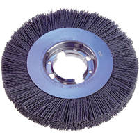 Wire Wheel Canadian Safety Group Inc.