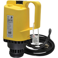 Drum Pump Motor Canadian Safety Group Inc.