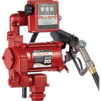 Pompes &agrave; palettes, rotatives & utilitaires, c.a., 115 V, 20 gal./min Canadian Safety Group Inc.