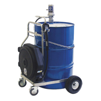 LD Series Air-Operated Oil Pump, 7.8 GPM, 3:1 Pressure Ratio Canadian Safety Group Inc.