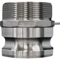 Cam & Groove Coupling, Stainless Steel, Type F, 3/4", Male NPT, 250 PSI Canadian Safety Group Inc.