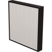 AeraMax&reg; Pro AM3 & AM4 2" True HEPA Filter, Box, 13.75" W x 2.25" D x 14.38" H Canadian Safety Group Inc.