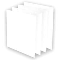 Pr&eacute;-filtres AeraMax Pro AM3 ou AM4, 13,75" la x 0,13" p x 14,38" h Canadian Safety Group Inc.