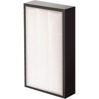 V&eacute;ritables filtre HEPA AeraMax Pro AM2 1-3/4", Boîte, 7,38" la x 1,88" p x 12,88" h Canadian Safety Group Inc.