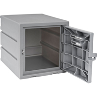 Locker, 12" x 15" x 12", Grey, Assembled Canadian Safety Group Inc.