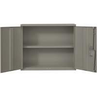 Armoire murale, Acier, 2 Tablettes, 30" h x 36" la x 12" P, Gris Canadian Safety Group Inc.