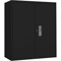 Armoire de rangement Lo-Boy, Acier, 2 Tablettes, 42" h x 36" la x 18" P, Noir Canadian Safety Group Inc.