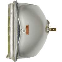 Phare automobile scell&eacute; de base H6054, 35 W, Blanc Canadian Safety Group Inc.