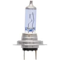H7 SilverStar&reg; zXe Headlight Bulb, Halogen/HID, 56 W, White Canadian Safety Group Inc.