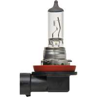 H8 Basic Headlight Bulb, Halogen, 35 W, Off White Canadian Safety Group Inc.