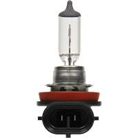 H8 Basic Headlight Bulb, Halogen, 35 W, Off White Canadian Safety Group Inc.