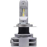 9003 Headlight Bulb, LED, 12 W/14 W/24 W, White Canadian Safety Group Inc.
