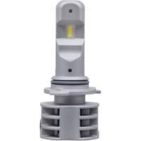 9006 Headlight Bulb, LED, 13.2 W/17 W, White Canadian Safety Group Inc.