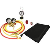 Automotive A/C Nitrogen Leak Test Kit with Regulator Canadian Safety Group Inc.