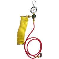 Automotive A/C Nitrogen Leak Test Kit with Regulator Canadian Safety Group Inc.