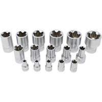 5-Point EPR Torx Socket Set, 16 Pieces, 1/2"/1/4"/3/8" Drive Size Canadian Safety Group Inc.