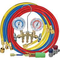 Manifold Gauge Set with Manual Couplers & Mini Dye Injector Canadian Safety Group Inc.