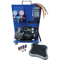 Dual R134A/R1234Yf Single-Stage Portable Electronic Charging Station Canadian Safety Group Inc.