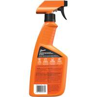 Multi-Purpose Auto Cleaner, 16 oz./473 ml, Trigger Bottle Canadian Safety Group Inc.
