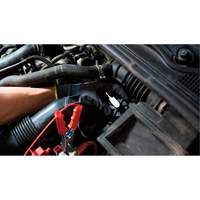 Pompette de purge de frein Brake-Pro &agrave; structure haute avec adaptateurs Canadian Safety Group Inc.