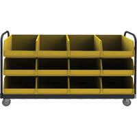 R&acirc;telier mobile, &agrave; deux c&ocirc;t&eacute;s, 12 bacs, 78" la x 18" p x 47" h Canadian Safety Group Inc.