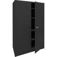 Storage Cabinet, Steel, 4 Shelves, 78" H x 48" W x 24" D, Black Canadian Safety Group Inc.