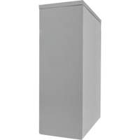 Counter-High Storage Cabinet, Steel, 2 Shelves, 42" H x 30" W x 15" D, Grey Canadian Safety Group Inc.