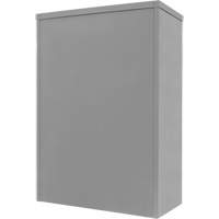 Counter-High Storage Cabinet, Steel, 2 Shelves, 42" H x 30" W x 15" D, Grey Canadian Safety Group Inc.