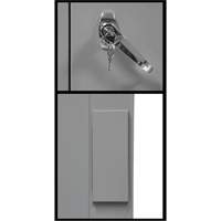 Counter-High Storage Cabinet, Steel, 2 Shelves, 42" H x 30" W x 15" D, Grey Canadian Safety Group Inc.