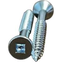 Flat SOC Wood Screws, #10 x 2" L, Zinc Plated Canadian Safety Group Inc.