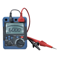 Insulation Resistance Tester, Digital Canadian Safety Group Inc.