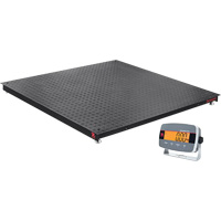 Balances de plancher Defender 3000, Capacit&eacute; de 5000 lb, 4' lo x 4' la Canadian Safety Group Inc.