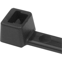 PA66 Cable Ties, 5-1/2" Long, 18 lbs. Tensile Strength, Black Canadian Safety Group Inc.